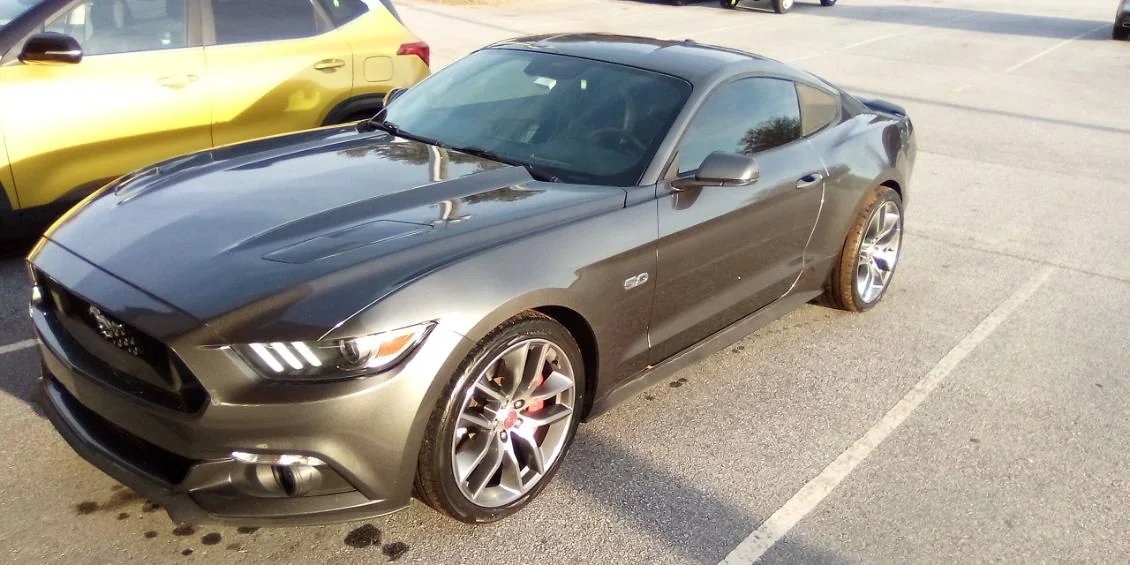 Gray Ford Mustang GT 5.0 finished by Grindtime Mobile Detailing